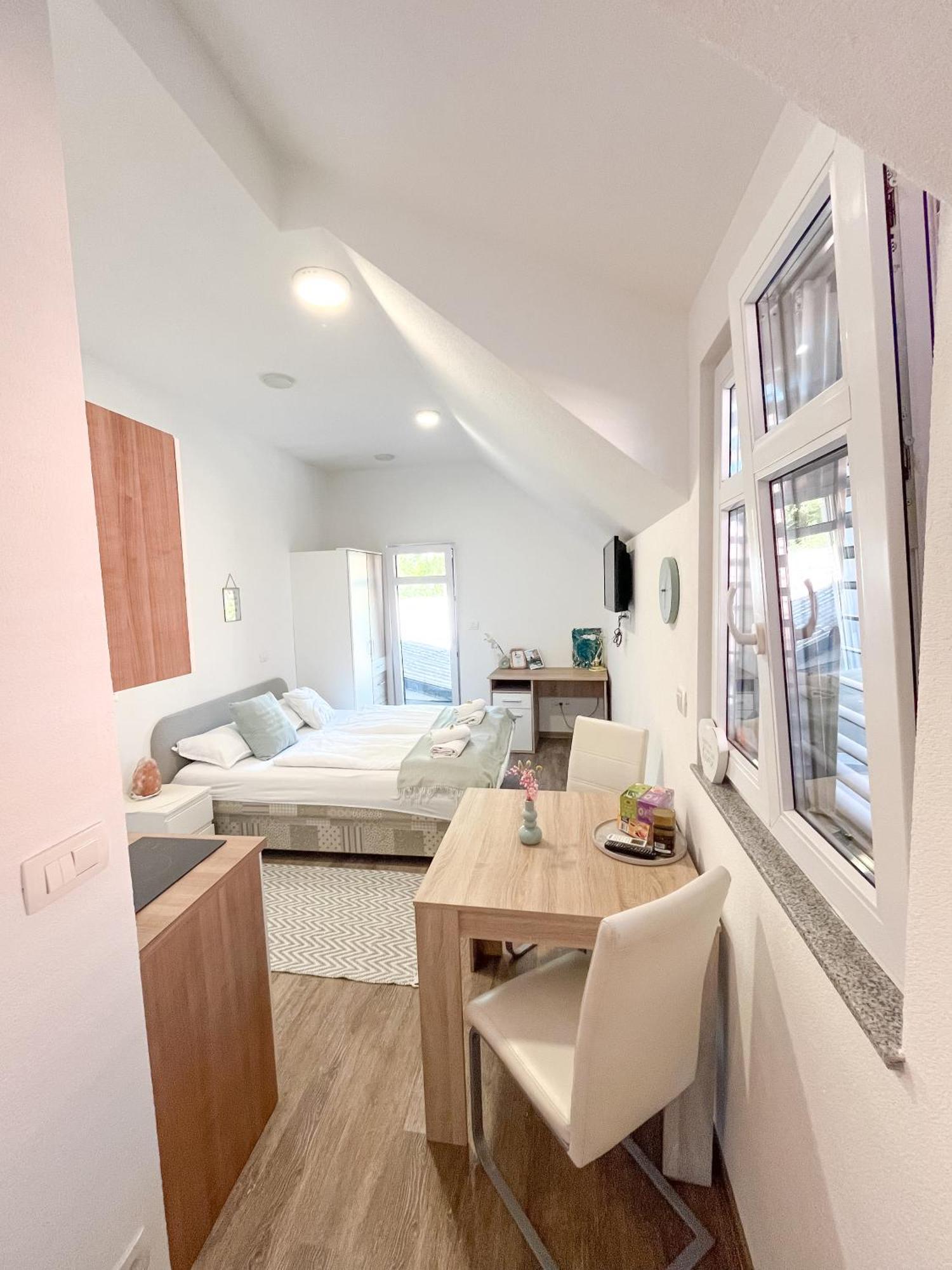 Anita'S Studio Apartments Ljubljana Bagian luar foto